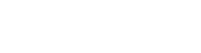 Rapiduo